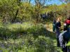 IMG-20240425-WA0013