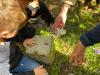 IMG-20240425-WA0015