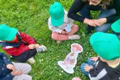 IMG-20250510-WA0004